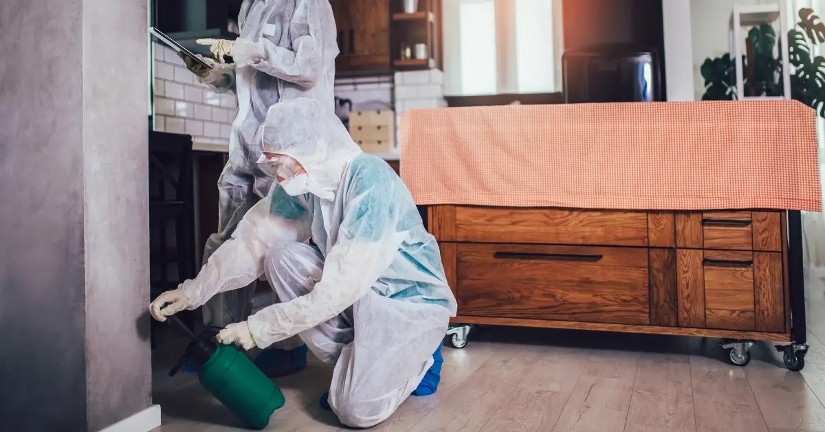 Effective Pest Control Advertising: How Direct Mail Postcards Can Help You Capture New Clients