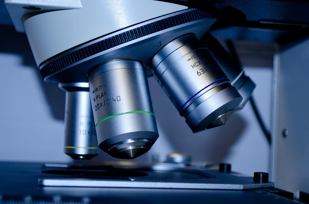 Microscope, slide, research — Top CMS Choices for SEO Success in 2026